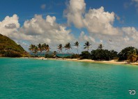 Saint-Vincent-et-les-Grenadines 