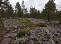 Sammallahdenmäki 