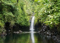 Taveuni 