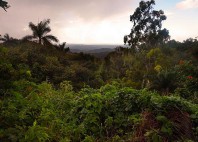 Topes de Collantes 