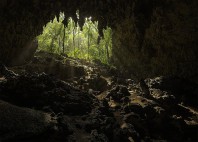 Utuado 
