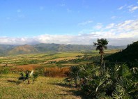 Vallée de Los Ingenios 