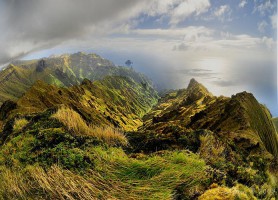 Île Gough : vivez une aventure extraordinaire