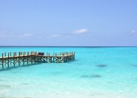 Île San Salvador 