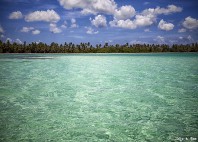 Île Saona 