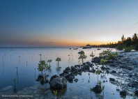 Îles Caïmans 