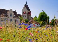 Abbaye de Reichenau 
