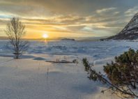 Altafjord 