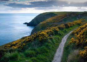 Ardmore : la merveilleuse localité d’Irlande