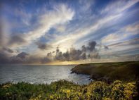 Ardmore 
