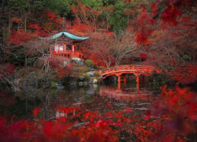 Daigo-ji : un magnifique monument vieux de près de 1200 ans