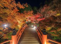 Daigo-ji 