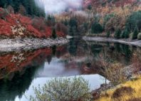 Elan Valley 