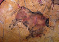 Grotte d’Altamira 