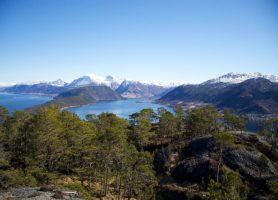 Hardangerfjord : un fjord qui force l’admiration !