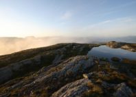 Hardangerfjord 