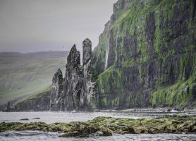Hornstrandir : découvrez ce splendide parc de la terre de glace