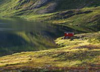 Hornstrandir 