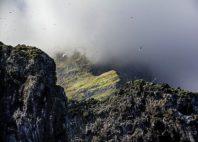 Hornstrandir 