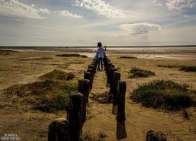 Île de Mandø : une communion avec la nature