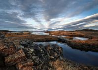Lac Mývatn 