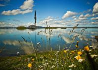 Lac Mývatn 