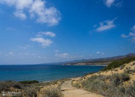 Lara Beach : quand le beau se matérialise
