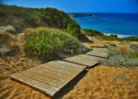 Lara Beach 