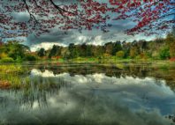 Manoir de Mount Stewart 
