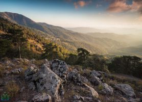 Massif du Troodos : voici une vallée vraiment magique