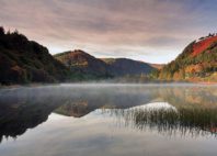 Montagnes de Wicklow 