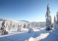 Parc national de Pallas-Yllästunturi 