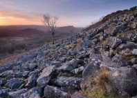 Parc national de Dartmoor 