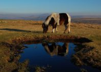 Parc national de Dartmoor 