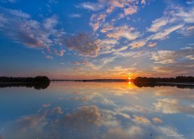 Parc national de Doñana : une expédition magique
