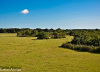 Parc national de Doñana 