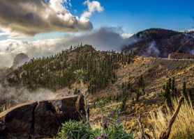 Parc national du Teide : une maquette grandeur nature