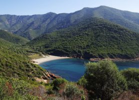 Réserve naturelle de Scandola : un flamboyant écosystème