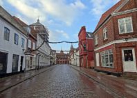 Ribe 