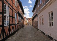 Ribe 