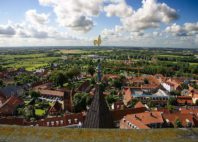 Ribe 