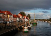 Ribe 
