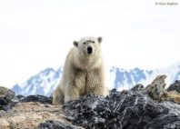 Svalbard 