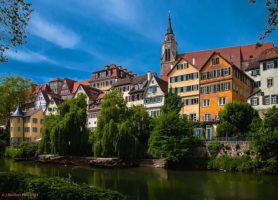 Tübingen : le captivant paradis universitaire