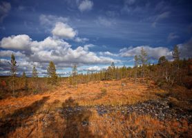 Urho Kekkonen : une zone naturelle exceptionnelle