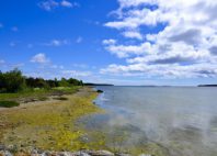 Île de Gotland 