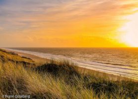 Île de Sylt : découvrez le refuge du bonheur