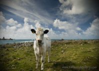 Îles Scilly 