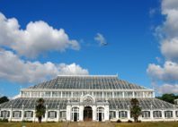 Jardins botaniques royaux de Kew 