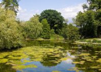 Jardins botaniques royaux de Kew 